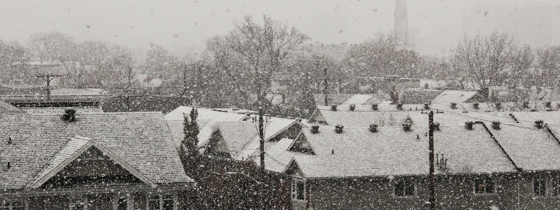 Photo by cjunea, used with permission (see source for details) Snowfall in a city